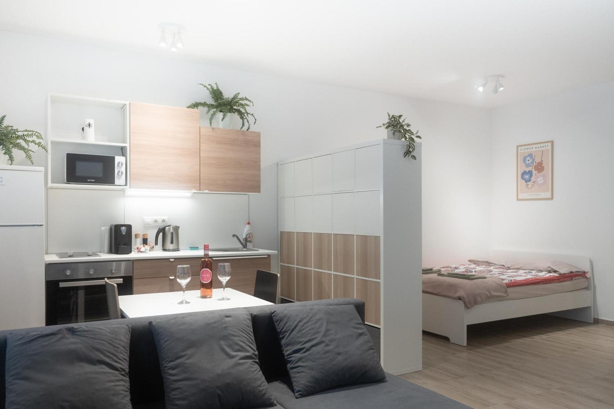 Raday At The Heart Of With Ac Appartement
